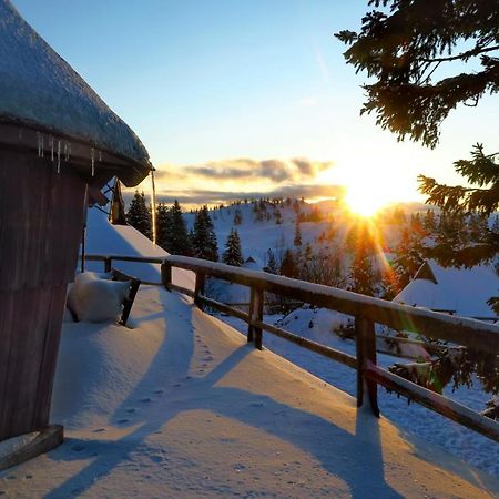 Chalet Resa - Velika planina Stahovica Buitenkant foto
