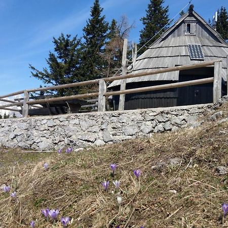 Chalet Resa - Velika planina Stahovica Buitenkant foto