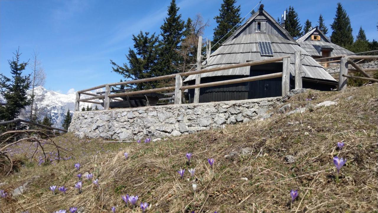 Chalet Resa - Velika planina Stahovica Buitenkant foto