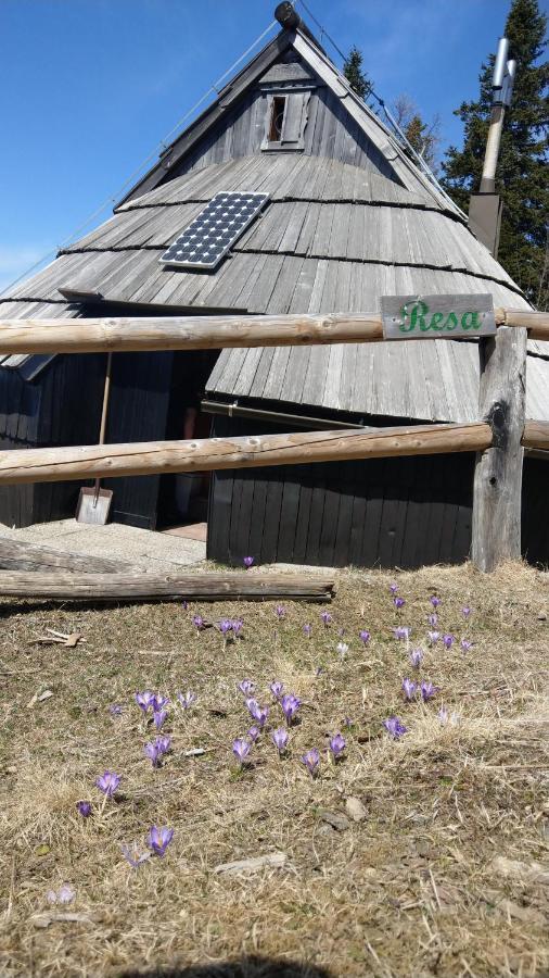 Chalet Resa - Velika planina Stahovica Buitenkant foto