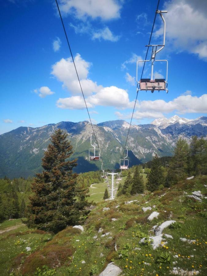 Chalet Resa - Velika planina Stahovica Buitenkant foto