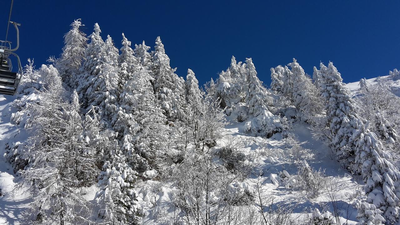 Chalet Resa - Velika planina Stahovica Buitenkant foto